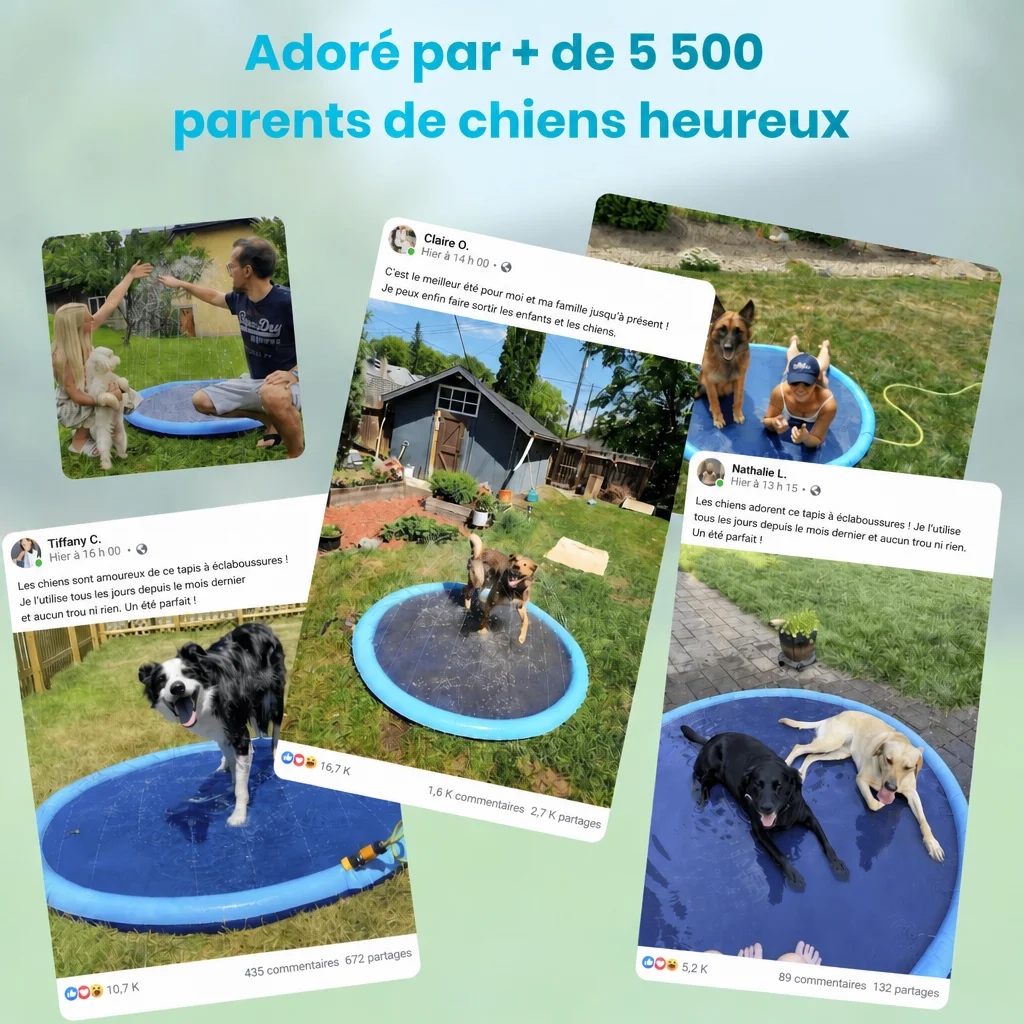 Splash Dog™ — adoré par +5 500 parents