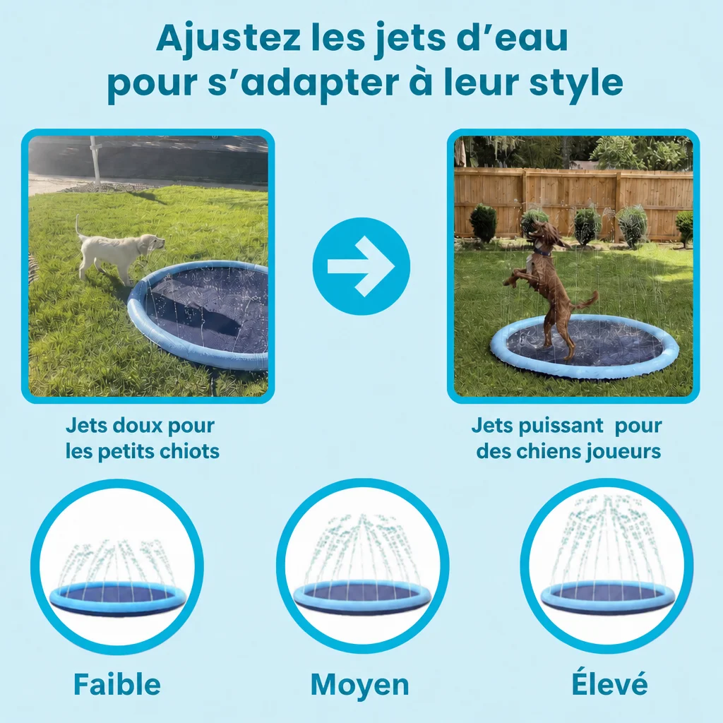 Splash Dog™ — jets ajustables